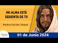 Evangelio de hoy sbado 01 junio 2024 l padre carlos yepes l biblia l marcos 11 2733 l catlica