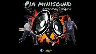 WHY DISCO. WHY BATTLE MIX. WHY MP3. Pia minisound @Nauring