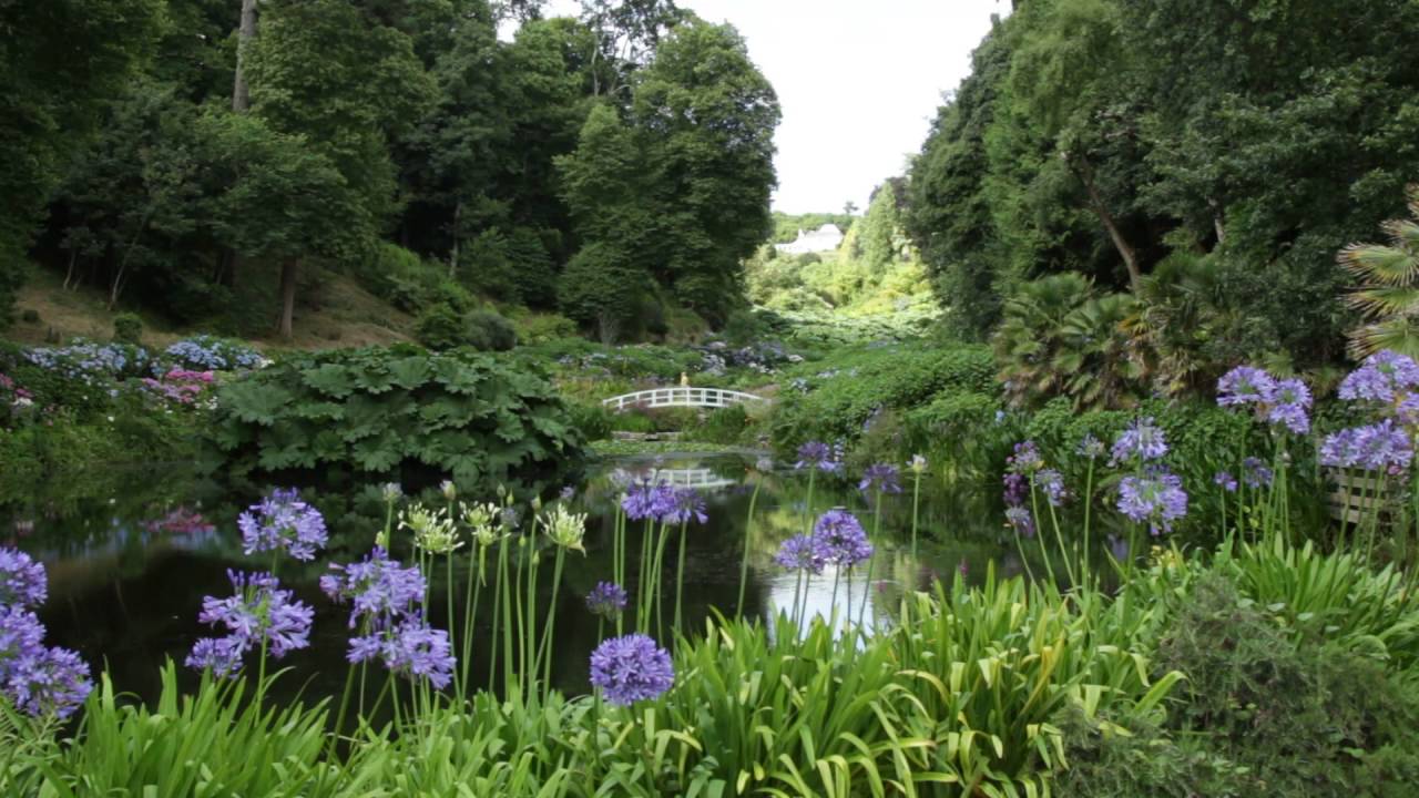 cornwall map Trebah Gardens Cornwall August 2016