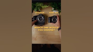 Canon R1 vs Sony A1 — Which Flagship Would You Pick?