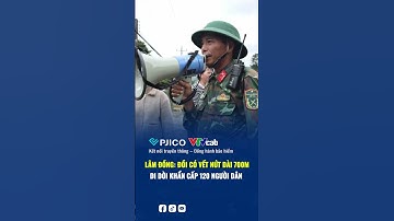 Lâm Đồng: Đồi có vết nứt dài 700m, di dời khẩn cấp 120 người dân | Bảo hiểm PJICO