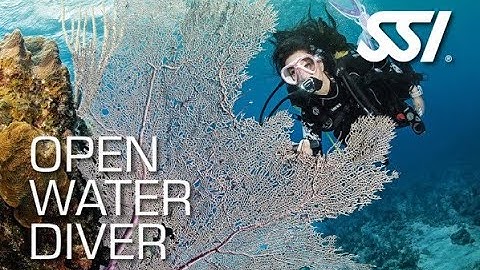 Open Water Scuba Class with Benjamin Hadfield  - Part 3 - October 2023