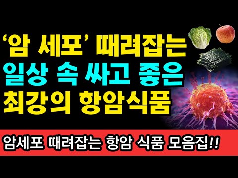 암세포 막고 죽이고 없애는 과학적으로 증명된 암세포 때려잡는 최강의 항암식품 모음집 I 니시노 호요쿠 I 암이 사라지는 식사 I 암 억제 <strong>식품사전</strong>