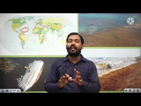वीडियो: सरगासो सागर, कारवेल ट्रैप