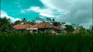 KECAPI SULING SUNDA 'LAMUNAN Yayan Jatnika'
