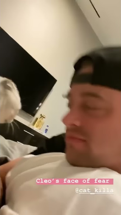 My cat loves licking me, but can’t stand when I do it back