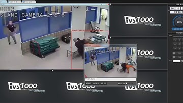 Violence behavior detection (Prison)