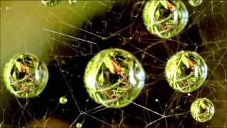 Background Music Instrumentals relaxdaily B Sides N°1