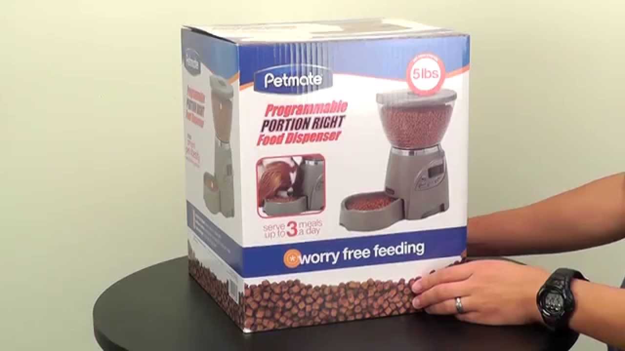 lebistro programmable feeder