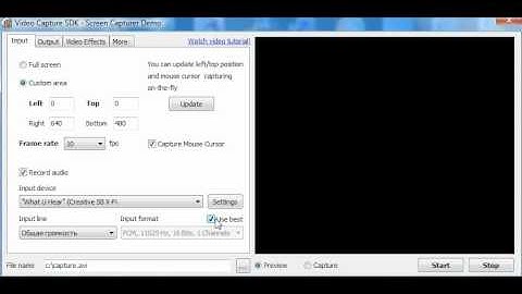 Video Capture SDK - Screen Preview Tutorial