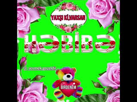 Həbibə adına gözəl video yaxşıkı varsan hebibe #həbibə #hebibe