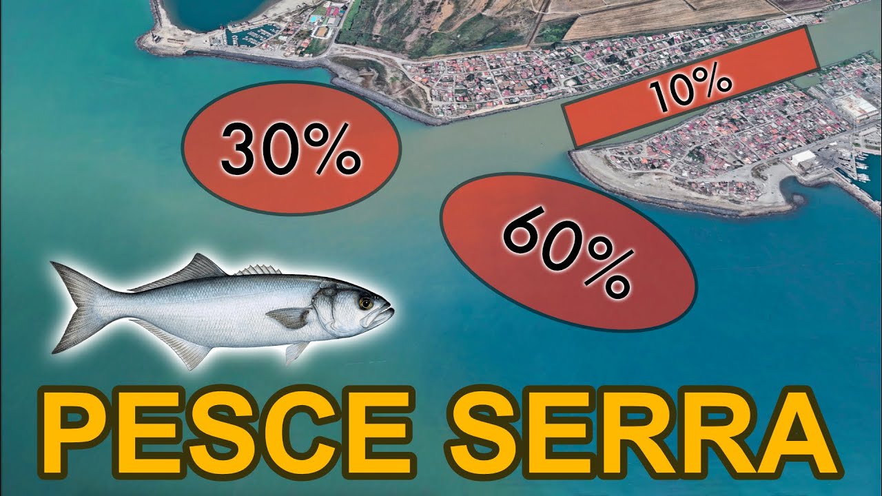 Tutorial su DOVE INSIDIARLO - Spinning Pesce Serra parte 1