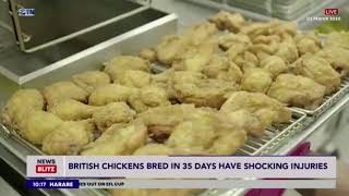 ZTN News Blitz   March 2, 2020 Morning
