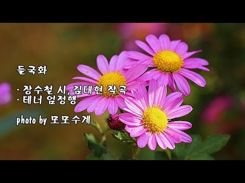 <strong>들국화</strong>/장수철 시, 김대현 작곡/테너 엄정행 &amp;amp; photo by 모모수계