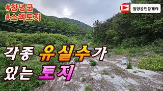 230516. 각종 유실수가 있는 토지 #밀양토지매매 #밀양부동산 #밀양임야매매 #밀양전원주택매매 #밀양촌집매매 #청도토지매매 #밀양땅매매 #밀양전원주택 #밀양촌집