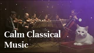 Calm Classical Music 🎻🐾 | Relax, Study, Sleep