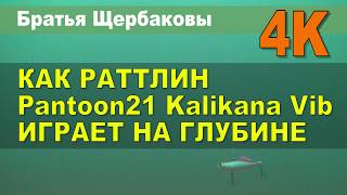 Как Раттлин Pantoon21 Kalikana Vib Играет На Глубине