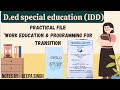 💥"Work education & programming for transition"|👩🏫DSH(IDD)Practical file#specialeducation#practical