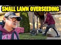 OVERSEEDING NEIGHBOR'S SMALL LAWN!
