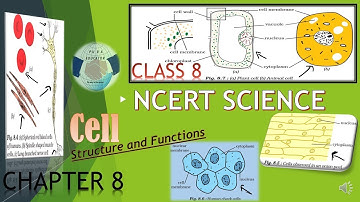 NCERT SCIENCE CLASS 8 CHAPTER 8 CELL STRUCTURE AND FUNCTIONS FOR UPSC IAS PRE,UPPCS,SSC IN HINDI