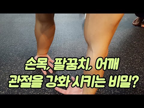 [뭣이 중헌디] 운동으로 관절을 <strong>강화</strong> <strong>하는</strong> 비법?