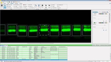 Image Studio 5.0 ‑ Analysis Ribbon