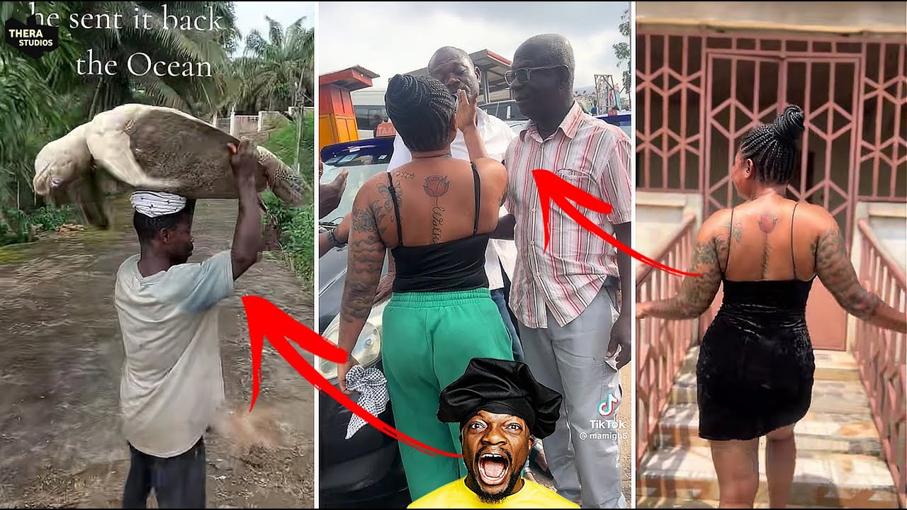 Сломать!!! Татуированная леди в беде😱 Он вернул живую черепаху в море😳