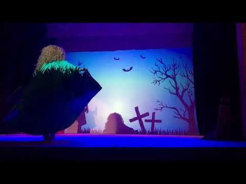 სპექტაკლი ,,გარეული გედები\" რეჟისორი: ქეთი დოლიძე