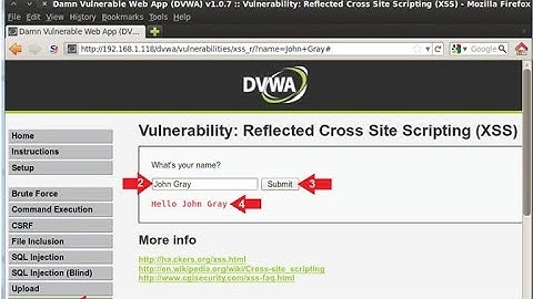 XSS Reflected Attack Demonstration on DVWA & Online Website
