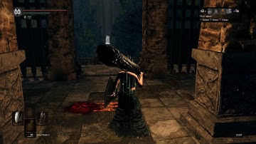 Dark Souls: Remastered | Hacker Invader
