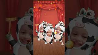 Download Lagu #goyangupinipin MP3