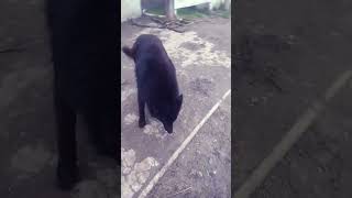 22 De Agosto De 2024