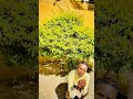 Always Humble Cowboii Shaunmusiq Exclusive 2025songs Always Humble Cowboii Shaunmusiq Exclusive 2025songs