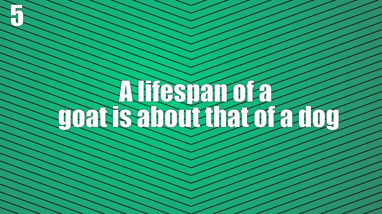 What does the phrase the goat mean alabamaffop
