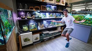 Beautiful NANO AQUARIUM Gallery Tour  East Ocean Aquatic