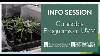 Cannabis Programs at UVM Info Session
