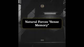 Natural Forces - Sense Memory - Dispatch Recordings 169