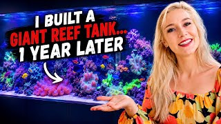 I built a giant REEF TANK… 1 year later 