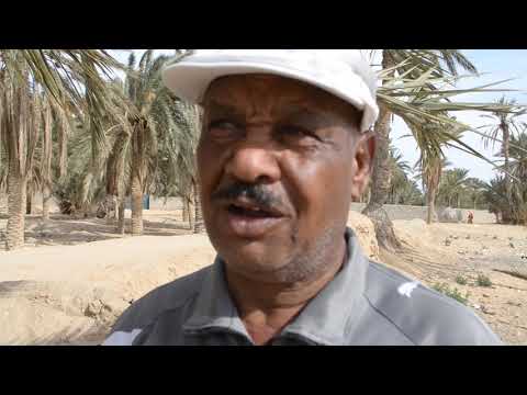 الفنان محمود العرفاوي نداء