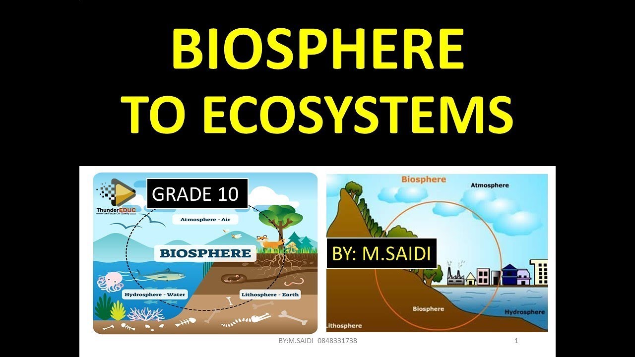 Define Biosphere In Science