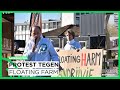 ‘Koeien horen niet op het water’, protest tegen Floating Farm | Samenleving