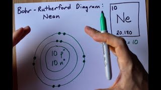 How to Draw the Bohr-Rutherford Diagram of Neon