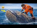 THEY ARE DYING BECAUSE OF US Rescuing An Exhausted Whale From Parasitic Creatures At Sea Animal