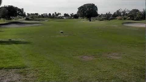 Redcat Caldera 10E bashing/speed runs 3s/2s tacon 3660 motor/BH 120a esc