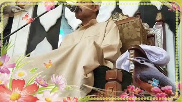 قرآن الجمعة للقارئ الشيخ نور الدين الهاشمي تلاوه من سوره هود 8/2019