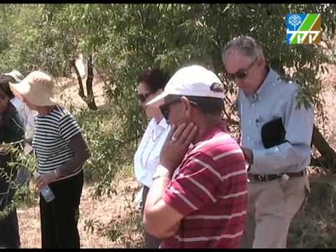 Proyecto Homenaje al Rabino Sion Levy ZL en la esc...