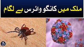 Congo virus cases in Pakistan - Aaj News