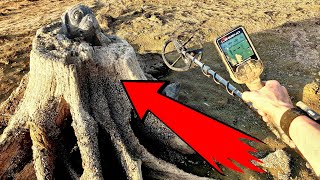 Crazy smugglers put the dog in the stump!  😱