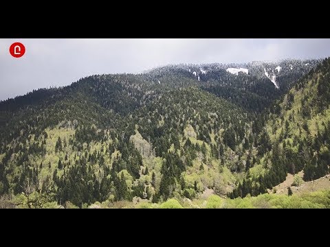 პროტესტის ხმა სვანეთიდან