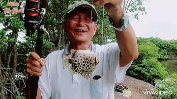 Câu cá đùng thiên nhiên ở Vũng Tàu.